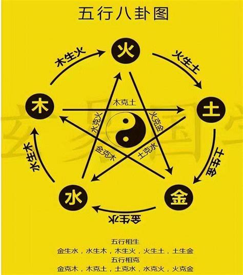 木和金|五行（对万事万物的取象比类）